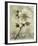 Floral Blush I-Carney-Framed Giclee Print