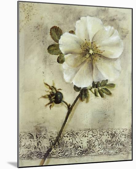 Floral Blush I-Carney-Mounted Giclee Print