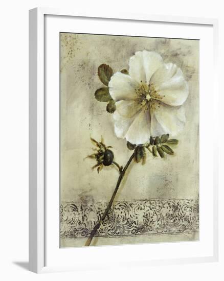 Floral Blush I-Carney-Framed Giclee Print