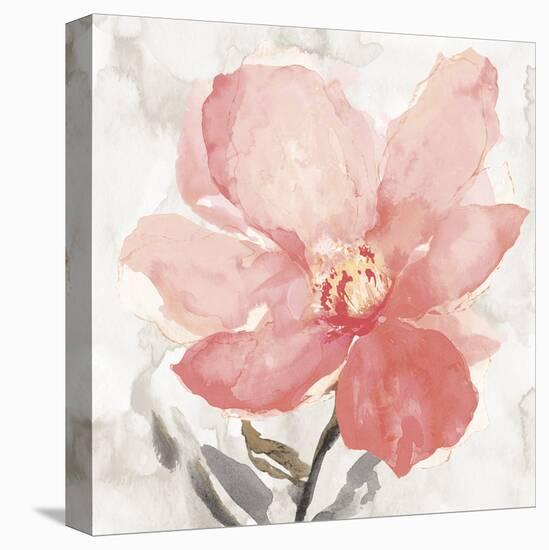 Floral Blush I-Tania Bello-Framed Stretched Canvas
