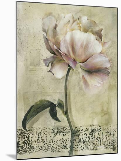 Floral Blush II-Carney-Mounted Giclee Print