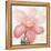 Floral Blush II-Tania Bello-Framed Stretched Canvas