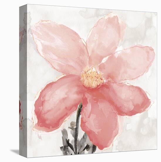 Floral Blush II-Tania Bello-Framed Stretched Canvas