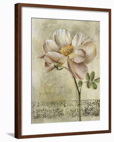 Floral Blush IV-Carney-Framed Giclee Print