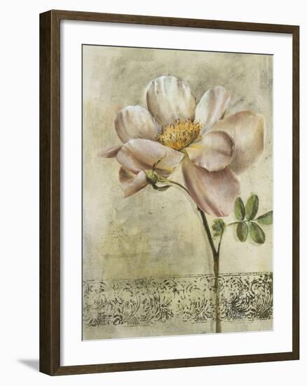 Floral Blush IV-Carney-Framed Giclee Print