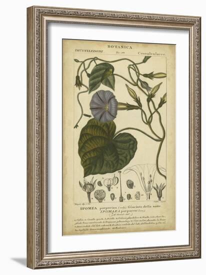 Floral Botanica I-Turpin-Framed Art Print