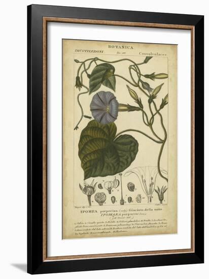 Floral Botanica I-Turpin-Framed Art Print