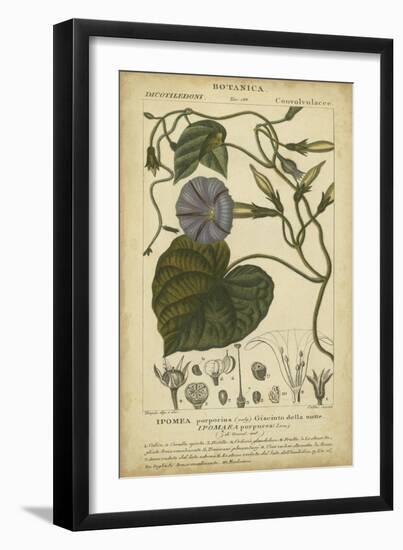 Floral Botanica I-Turpin-Framed Art Print