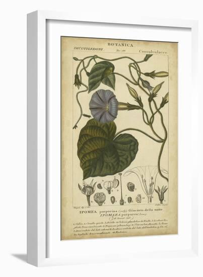 Floral Botanica I-Turpin-Framed Art Print