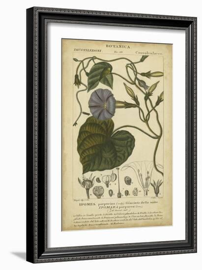 Floral Botanica I-Turpin-Framed Art Print