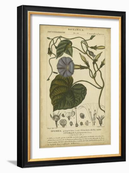 Floral Botanica I-Turpin-Framed Art Print