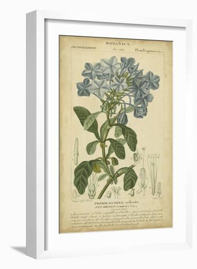 Floral Botanica II-Turpin-Framed Art Print