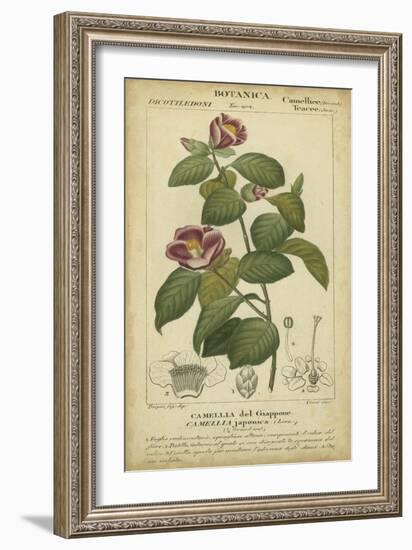 Floral Botanica III-Turpin-Framed Art Print