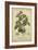 Floral Botanica III-Turpin-Framed Art Print