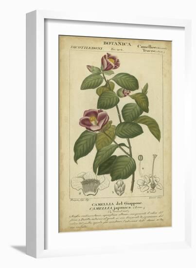 Floral Botanica III-Turpin-Framed Art Print