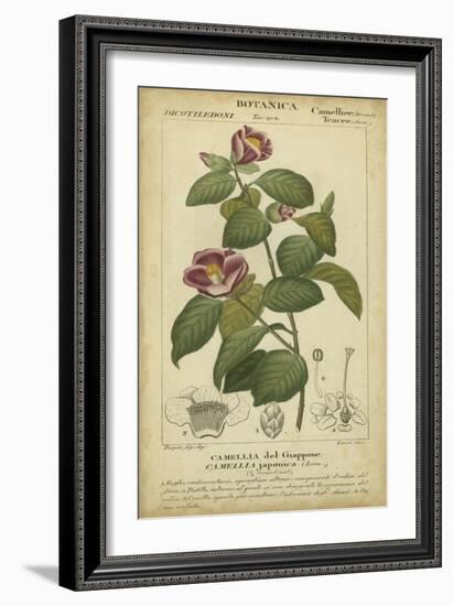 Floral Botanica III-Turpin-Framed Art Print