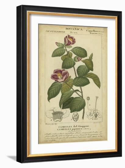 Floral Botanica III-Turpin-Framed Art Print