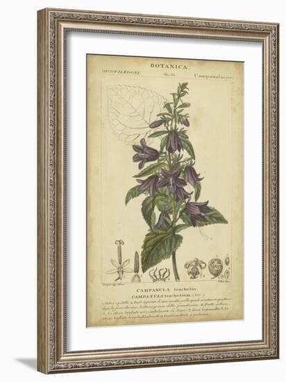 Floral Botanica IV-Turpin-Framed Art Print