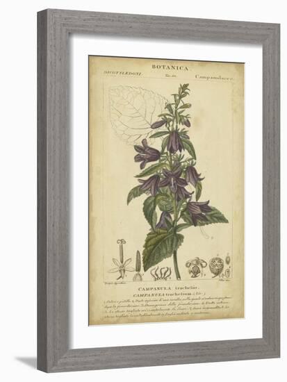 Floral Botanica IV-Turpin-Framed Art Print