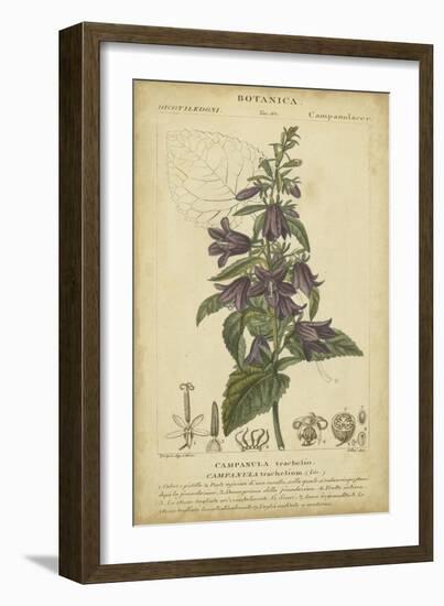 Floral Botanica IV-Turpin-Framed Art Print