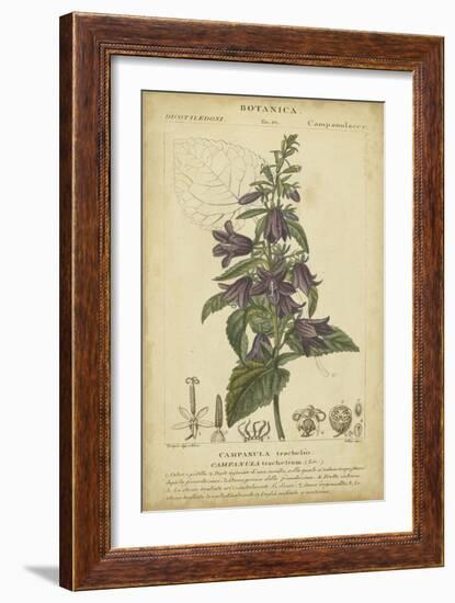 Floral Botanica IV-Turpin-Framed Art Print