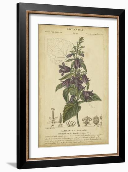 Floral Botanica IV-Turpin-Framed Art Print