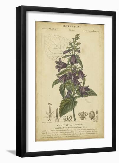 Floral Botanica IV-Turpin-Framed Art Print