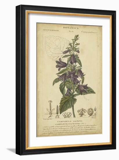 Floral Botanica IV-Turpin-Framed Art Print