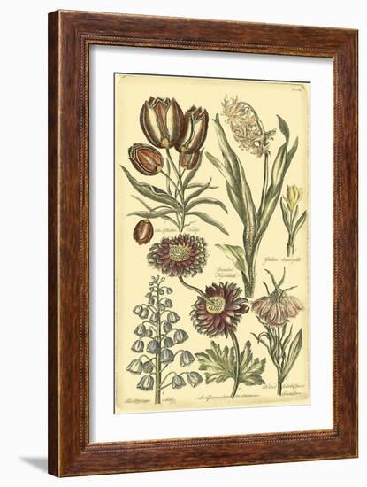 Floral Bounty II-Vision Studio-Framed Art Print