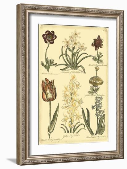 Floral Bounty IV-Vision Studio-Framed Art Print