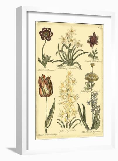 Floral Bounty IV-Vision Studio-Framed Art Print