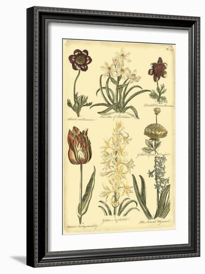 Floral Bounty IV-Vision Studio-Framed Art Print