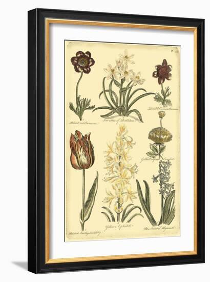 Floral Bounty IV-Vision Studio-Framed Art Print