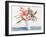 Floral Bundle-Aria K-Framed Art Print