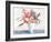 Floral Bundle-Aria K-Framed Art Print