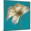 Floral Burst II-Emma Forrester-Mounted Giclee Print