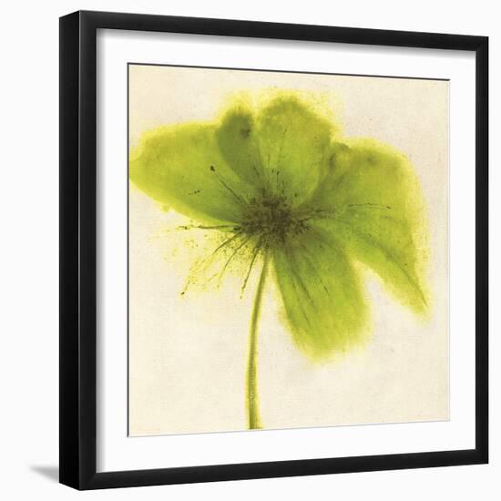 Floral Burst V-Emma Forrester-Framed Giclee Print