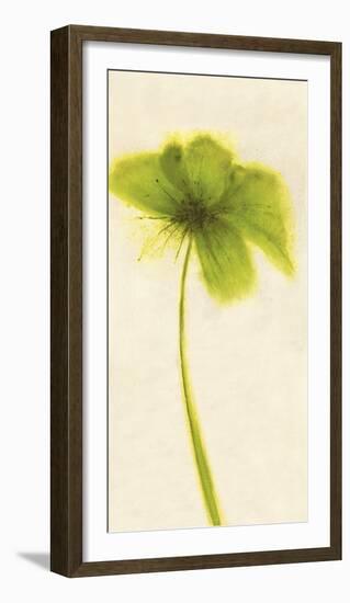 Floral Burst VII-Emma Forrester-Framed Art Print