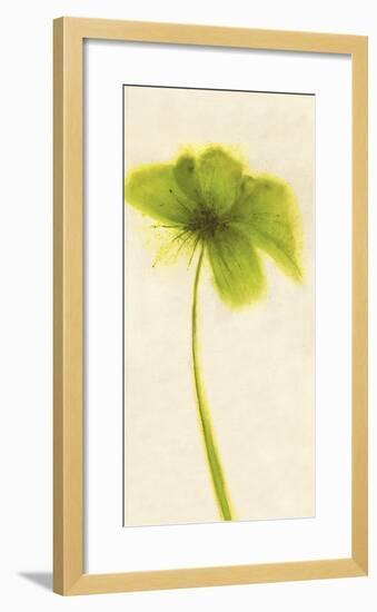 Floral Burst VII-Emma Forrester-Framed Art Print
