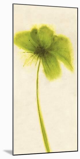 Floral Burst VII-Emma Forrester-Mounted Art Print