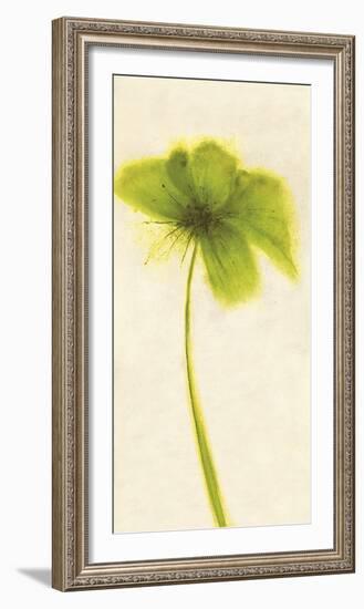 Floral Burst VII-Emma Forrester-Framed Giclee Print