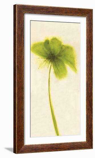 Floral Burst VII-Emma Forrester-Framed Giclee Print