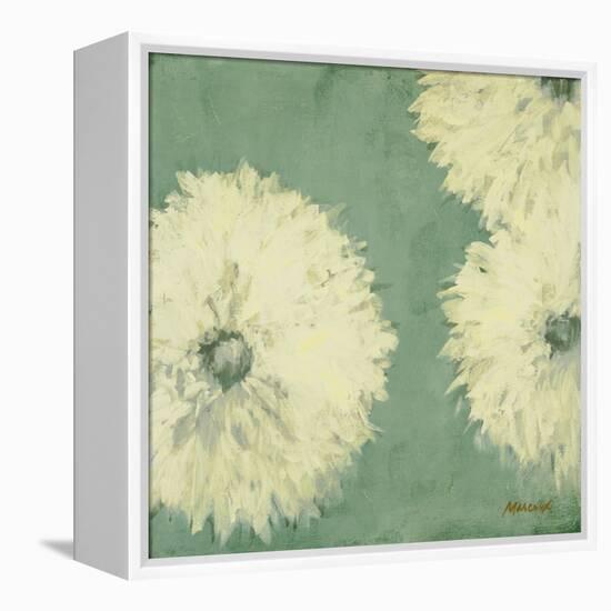 Floral Cache II-Julianne Marcoux-Framed Stretched Canvas