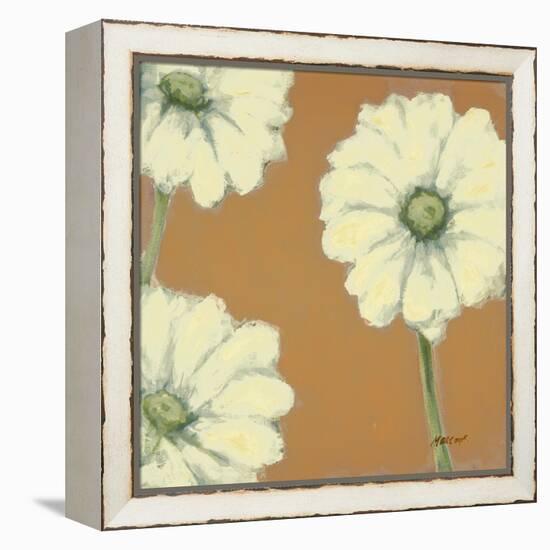 Floral Cache III-Julianne Marcoux-Framed Stretched Canvas