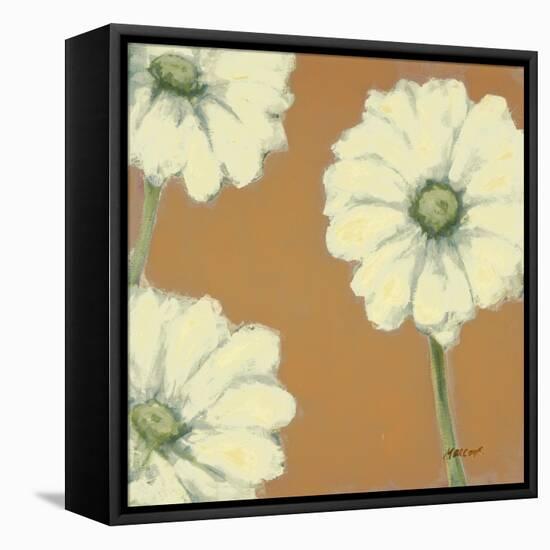 Floral Cache III-Julianne Marcoux-Framed Stretched Canvas