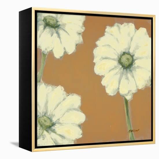 Floral Cache III-Julianne Marcoux-Framed Stretched Canvas