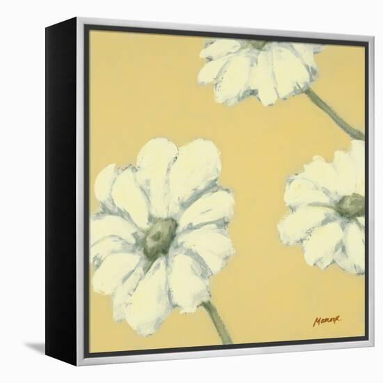 Floral Cache IV-Julianne Marcoux-Framed Stretched Canvas
