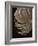 Floral Close-Up 1-Doug Chinnery-Framed Photographic Print