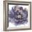 Floral Clouds - Ballard-Tania Bello-Framed Giclee Print