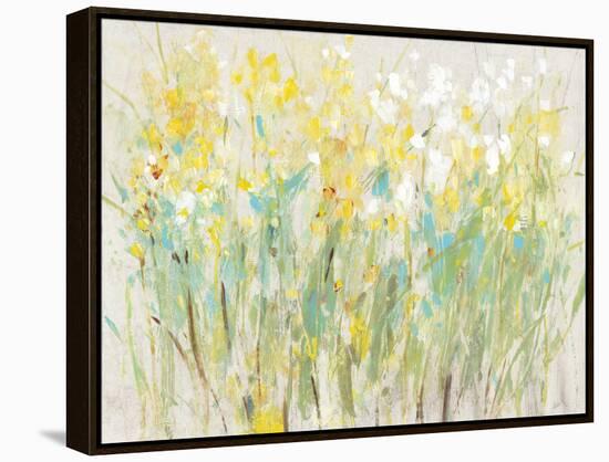 Floral Cluster II-Tim O'toole-Framed Stretched Canvas